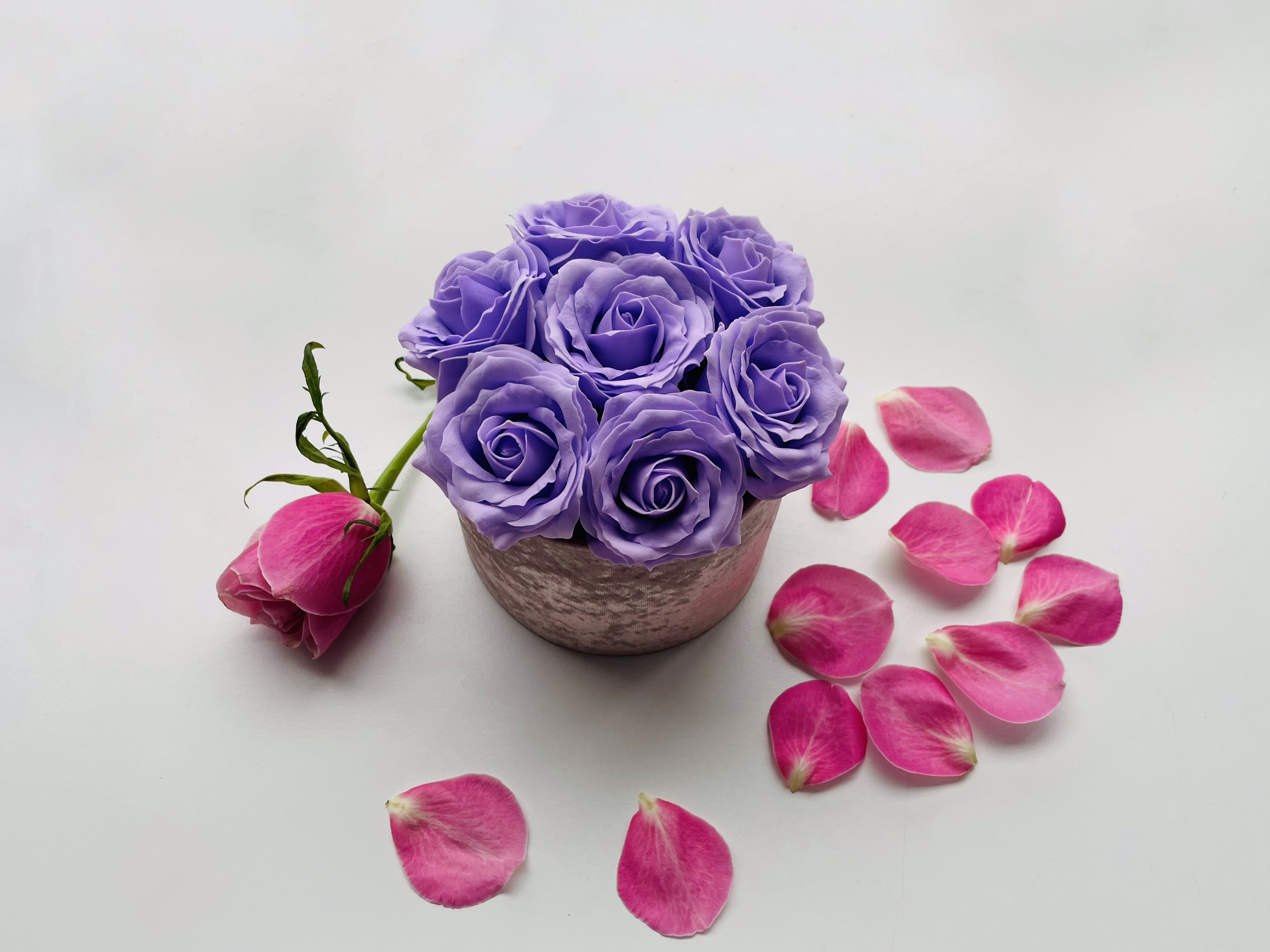 Soap roses purple